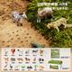 Bainsshi Children's Toys Animal World Boys Puzz Puzz Modèle Set Rangement Boîte d'anniversaire Gift 40 Pieces