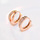 DL 1998 18k gold plated rose gold earrings, 18K gold earrings found missing after being removed from the store, rose gold earrings