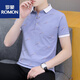 
ROMON (ROMON) 2025 new summer lapel men's short-sleeved T-shirt casual trend POLO. shirt men's collar half-sleeved ice silk white QY679 M