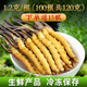 
2025 Fresh Cordyceps Authentic First-Stage Fresh Cordyceps 1.2g/root of genuine fresh grass for gift supplements 0.8-1.0g/root [Cryo-save] 50 roots for 6 fresh Cordyceps and gift boxes