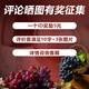 Diyue xo brandy weintraubengeist häuslicher trauben destilliert weinverstärkter wein box selbst trinkgeschenk qingyunzhi-375ml 42 Grad * 4 Flaschen