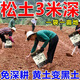 Soil loosening essence without deep plowing to improve soil hardening soil activator black water fertilizer vegetable garden plowing and loosening artifact 500g 5 bags loosening essence soil activator