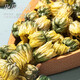 Zhenhuang Peking Tongrentang Chrysanthemum Tee Fetal Chrysanthemum Hangzhou Weißer Chrysanthemum Special Wild Wolfberry Cassia Honeysimpfishe Chinesische Kräutermedizin 50g