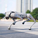 Location Yushu GO2, chien robot à quatre pattes, location personnalisée, air go2