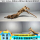 SLPC紫柚木精品45-60cm天然鱼缸造景沉木大号树桩晒龟台水族箱装饰木 14126秒沉