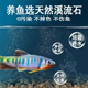 Stream stone ultra-fine bottom sand fish tank turtle tank bottom sand stream sand bottom stone fish tank landscaping stone native stone 3 to 5 cm 30 Jin Jin is equal to 0.5 kg.