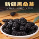 北京同仁堂新疆桑葚干无添加蔗糖无硫正品黑桑椹干大果头茬新货泡水喝的 1503克(净重三斤/无干燥剂)