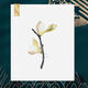 Jade Flower Brooch Women's Exquisite Corsage Pin New Trendy Suit Woolen Coat Two-Color Sweater Gift Magnolia Flower
