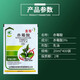 Lukang Lukangjinjian 3% gibberellic acid gibberellin 920 promotes cell mitosis and reduces flower and fruit shedding growth regulator 20 ml bag * 10 bags