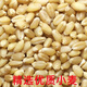 Wheat grains with skin 5Jin Jin is equal to 0.5kg Edible flour grinding medicine to induce maltose Germinated grass seeds Juicing and winemaking Cat grass 2025 new wheat 10Jin Jin is equal to 0.5kg (can be germinated and ground)