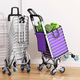 Fan Lilin's shopping trolley, portable shopping cart, stair-climbing hand trolley, folding lightweight trolley, household vegetable trailer, multi-functional reinforced foam double wheels