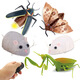 Original direct supply, novel and unique remote control electric insect toys, electric snail and mouse prank, 9922 ladybug, 130G, weight 0.28kg
