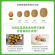 Jingxiansheng Shaanxi Xuxiang Green Heart Kiwi 30 pieces single fruit 70-90g fresh fruit straight from the source