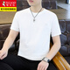 Woodpecker Ice Silk Short Sleeve T-shirt Men's Summer New Cool Thin Style All-match Top Trendy Round Neck Half Sleeve Base Shirt 11023/9856 White XL