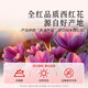 Tongrentang Healthy Iranian Saffron Mother's Day Gift for Mother's Day [90% of users choose mother/mother-in-law/girlfriend]