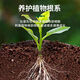 Powerful Rooting Powder Rapid Rooting and Seedling Strengthening Agent Rooting Powder Rapid Rooting Powerful Rooting Liquid Rooting Powder for Transplanting Rooting Powder 1Jin Jin is equal to 0.5kg, 3 packs