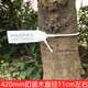 One-time customized garden seedling seal number tree extended plastic seal label sign plate 42CM50CM60CM plastic 33cm red 100 pieces