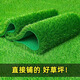 Simulated lawn carpet, football field, artificial turf, balcony, outdoor kindergarten, artificial bedding, decorative green plants, fake grass, 2.0 adhesive backing, 11 needles per square meter