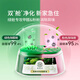 Hope Tree Fourth Generation Double Cabin Formaldehyde Remover Formaldehyde Remover Jelly Formaldehyde Remover Magic Box 3 Cans New House Formaldehyde Scavenger Really Removes Formaldehyde
