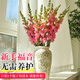 Linya Snapdragon Flowers 8-10 Branches Yunnan Straight Hair Large Flowers Fresh Cut Flower Hall Household Water Raised Random Source Straight Hair