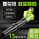 充电式鼓风机强力吹风机大功率工业用锂电无线吹灰机吹灰尘吹树叶 DS-6挡暴风吹3888TV一电一充