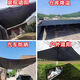 Sunshade de sol al aire libre Neta protector solar Sunsidio solar cifrado Black Sombra engrosada Balcón Houseing House Hoildard Aislamiento de calor Invernadero Negro 3888 Aguila más refuerzo doble de 3 metros de ancho X3 metros