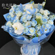 Pick up light and reverse travel flowers. Deliver in the same city. Michigan crushed ice blue rose bouquet for your girlfriend’s birthday gift. The bouquet arrives within an hour. Dielianxingchen | Crushed ice blue with fountain grass, blue star flower and platycodon mixed bouquet.