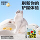 Gao Yes Xu Cuihua Plant Cat Müll 2,5 kghxm3888 Grüner Tea -Aroma 2,5 kg*1 Pack Originalkatze 2,5 kg*1 Pack