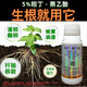 5% indolenaphthalene acetic acid, indolenaphthalene acetic acid rooting agent, transplanting cuttings, rooting irrigation, rooting powder, universal rapid rooting liquid, 4 bottles (500g/bottle)