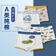 Cool Zhang (Kuzhang) Kinderunterwäsche Jungen Pure Cotton Boxer Shorts mittelgroße Kinder Boy Boxer Unterwäsche 10-jähriges Baby Clip nicht PP Unterwäsche reines Baumwoll 3036 Vier-Pair 105 m Größe 90 bis 20-28 Jin [Jin gleich 0,5 kg]