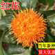 Xiaochunfeng Chinese herbal medicine safflower seeds saffron seeds Xinjiang grass saffron seeds genuine pure new field planting seeds Golden Saffron No. 3 2kg