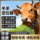Cattle and sheep locator, special GPS for mountain grazing, Beidou satellite tracking artifact, animal anti-lost tracking instrument j a5G solar standard version, standby for about 2 months
