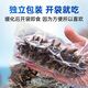 Fishing Travel Notes Ready-to-eat sea cucumber Dalian sea cucumber 500g Liao sea cucumber dry sea cucumber 13-17 pieces/Jin Jin equals 0.5 kg
