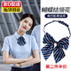 Tanbeiman Bank Bow Tie Women's Bow Tie Part-time Workplace Daily Knot Student School Uniform Bow Post Work Uniform Shirt Stewardess Bow Tie Neck Flower Blue Background Gold Bar Knot Free Suitable for Various Occupations/Shirts/School Uniforms