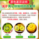 Yellow heart kiwi fruit, kiwi fruit, kiwi fruit, fresh fruit, 12 pieces, single fruit 50-70g