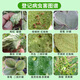 Eka mite 43% diphenylhydrazate Jinmanzhi 20% butofenyl flower aphid red spider pesticide insecticide and acaricide 15ml