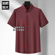 No. 1 Feng 2687 people collect functional ice silk elastic short-sleeved shirt men's business casual trendy fat man solid color non-iron pullover burgundy short sleeve high elastic-card shirt L 200/5x wear 230/250Jin [Jin equals 0.5 kg]
