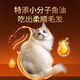 Zailu manufacturer directly supplies Zhen Xiaozhu cat food, fresh meat nutrition, natural chicken and beef formula, universal whole chicken formula for cats and kittens, 5 Jin Jin is equal to 0.5 kg.