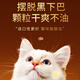 Zailu manufacturer directly supplies Zhen Xiaozhu cat food, fresh meat nutrition, natural chicken and beef formula, universal whole chicken formula for cats and kittens, 5 Jin Jin is equal to 0.5 kg.