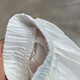 阿迪达斯（adidas）外套女装2025春季新款运动服梭织透气皮肤衣连帽上衣夹克JZ1656 JZ1682白色 XL