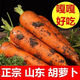 Fresh pureed carrots, fresh vegetables, farm fruits, radishes, seasonal fresh vegetables, sweet potatoes, breakfast nutrition, carrots 1 Jin Jin is equal to 0.5 kg, with box 200g+/box