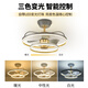 JPHZNB ventilateur de plafond lumière ventilateur clair salon salle à manger moderne luxe de luxe de luxe avec ventilateur électrique intégrée de salon de salle à manger intégrée 9277-trois couleurs de lumière + contrôle elfe