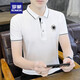 ROMON short-sleeved T-shirt for men 2025 new summer new youth simple trend half-sleeved lapel Polo shirt clothes K12801 white M