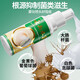Chunchuntang Yunnan Herbal Athlete's Foot Spray Anti-itching Peeling Feet Odor Sweat Fungal Infection Blister Foot Medicinal Pack Yalan Antibacterial Cream