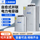Shanghai Viscon compensation parallel power capacitor BSMJ0.45-20-3 0.4-30-3 40 15Kvar royal blue_BSMJ0.69-60-3