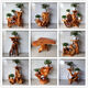 
Log root carved rack tree root natural ornament living room multi-layer bonsai rack fish tank solid wood base balcony 16869