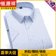 Hengyuanxiang Herren reines Baumwolldünne Plaid kurzärmeliges Hemd mittleren Alters Casual Cotton Plus Size Retro Daddy Anzug Trend DX6624 38
