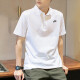 Nike (Nike) T-Shirt Herren 2025 Sommer New Sportswear schnell trocknend atmungsaktives Badminton Kurzärärmelte Tennis-Lappel-Polo-Hemd FN3895-100 m