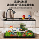 Turtle tank, home landscaping, filtration, circulation, basking platform, climbing platform, acrylic ecological mixed fish tank, small turnover box, medium ecological tank, 2 covers + water changer + sun lamp + 7-piece set of decorations
