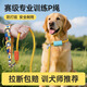 Qioh p rope p chain dog leash dog walking chain small, medium and large dog training dog explosion-proof punch knotted golden retriever pet supplies lemon yellow anti-strangle anti-winding explosion-proof punch length 150cm
